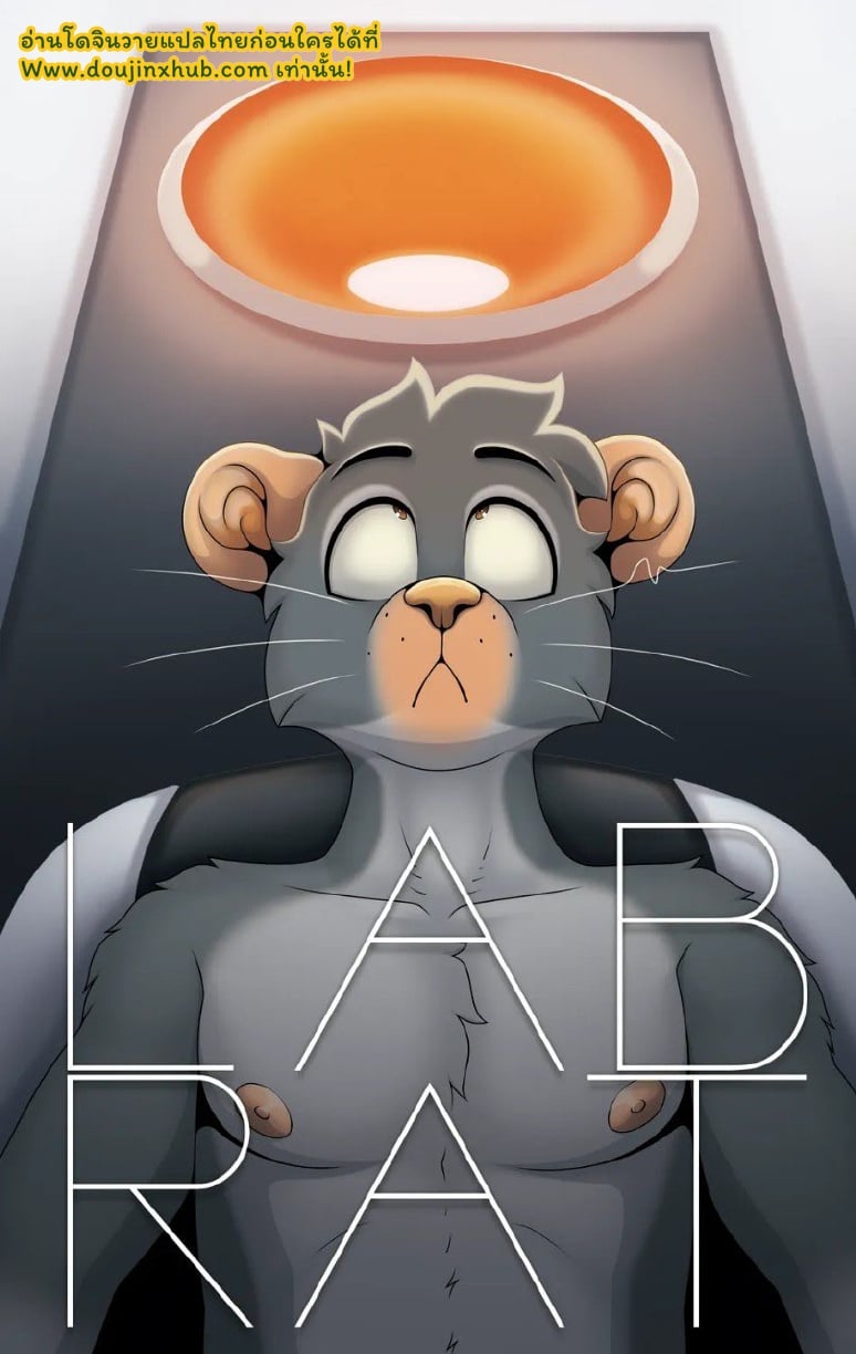 หนูทดลอง Lab Rat